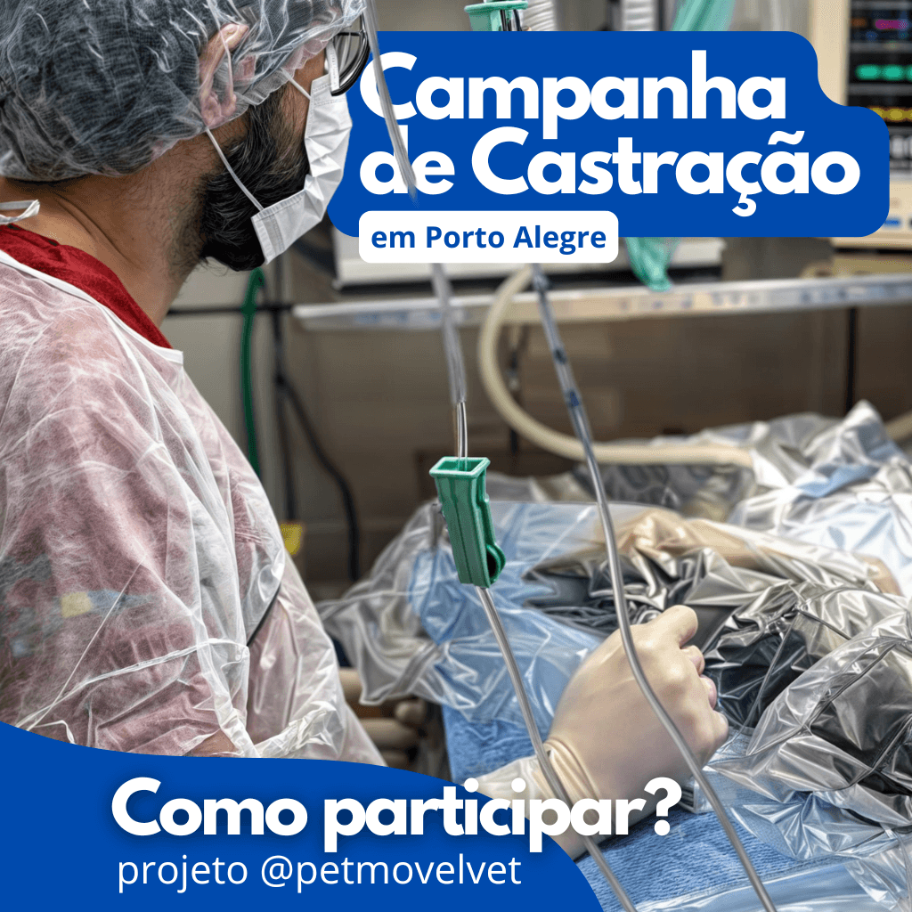 Atendimento veterinário